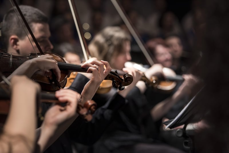 Live Concerts