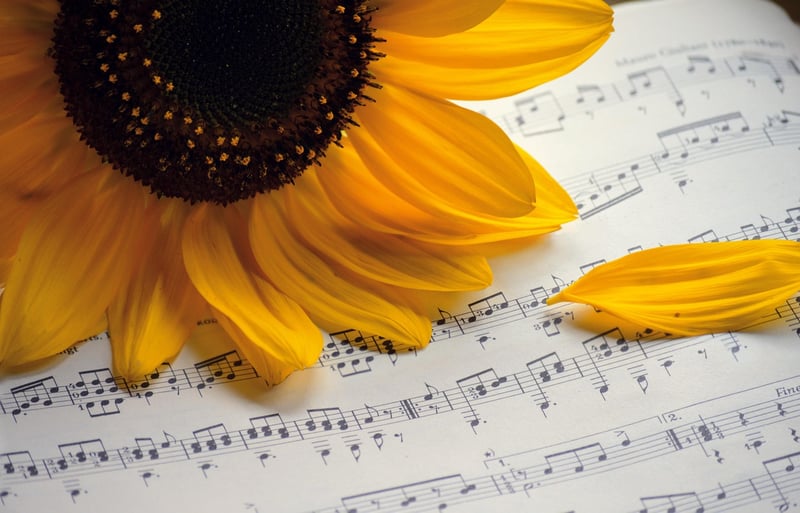 Virtual Concert
